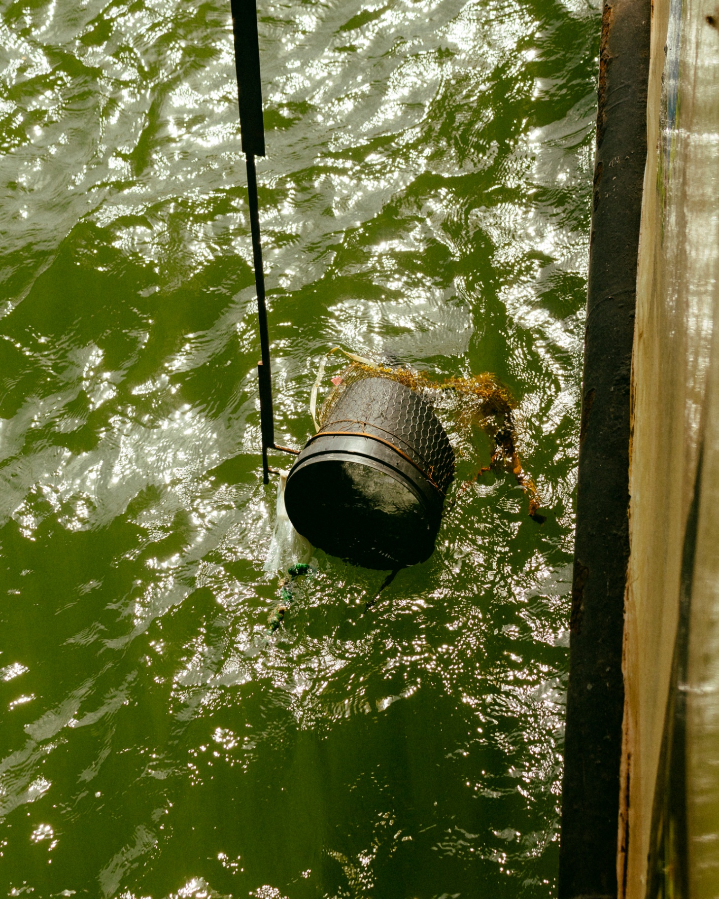 A black bucket wrapped in netting suspended over the green surface of the Lagos Lagoon, collecting a water sample